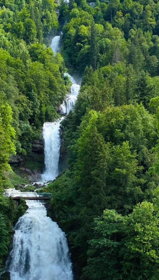 Hotel Wildbach Brienz Brienz  Exterior foto